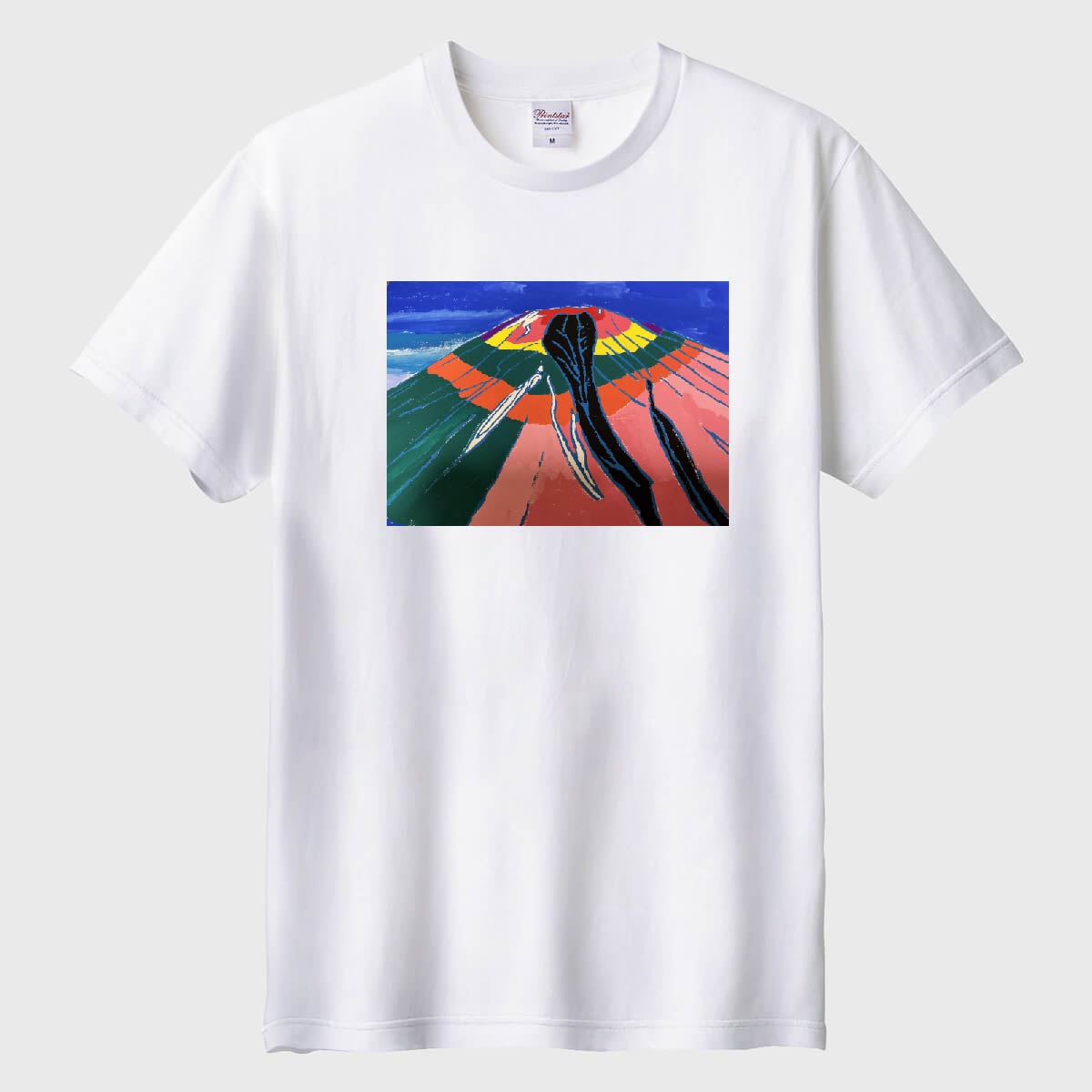 メンバーカラーの富士山01