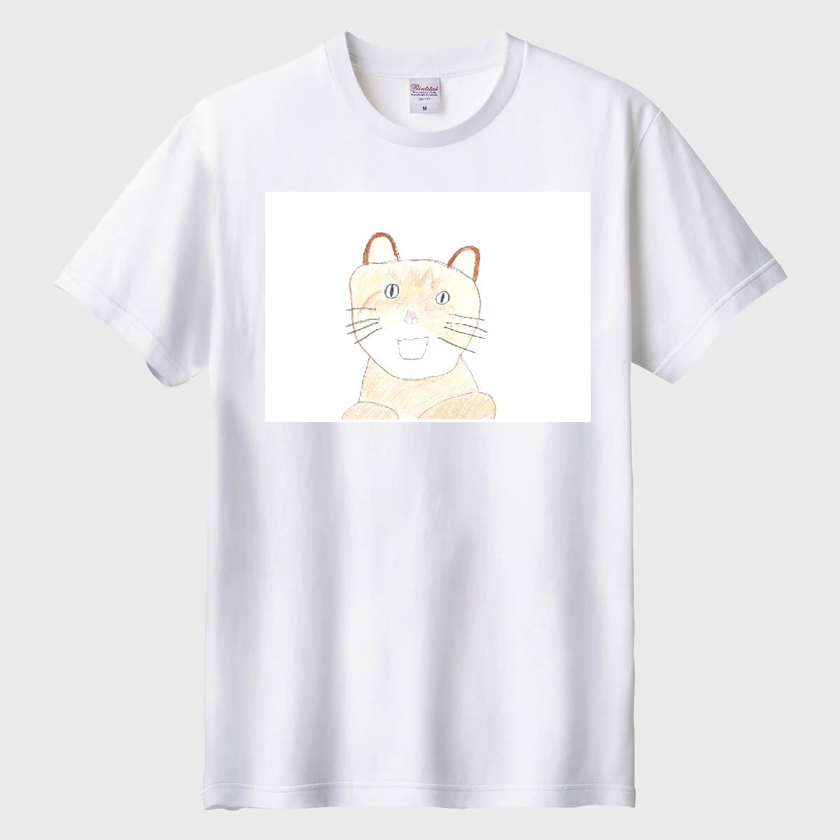 僕の大好きな猫01