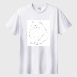 夢の中で見た猫