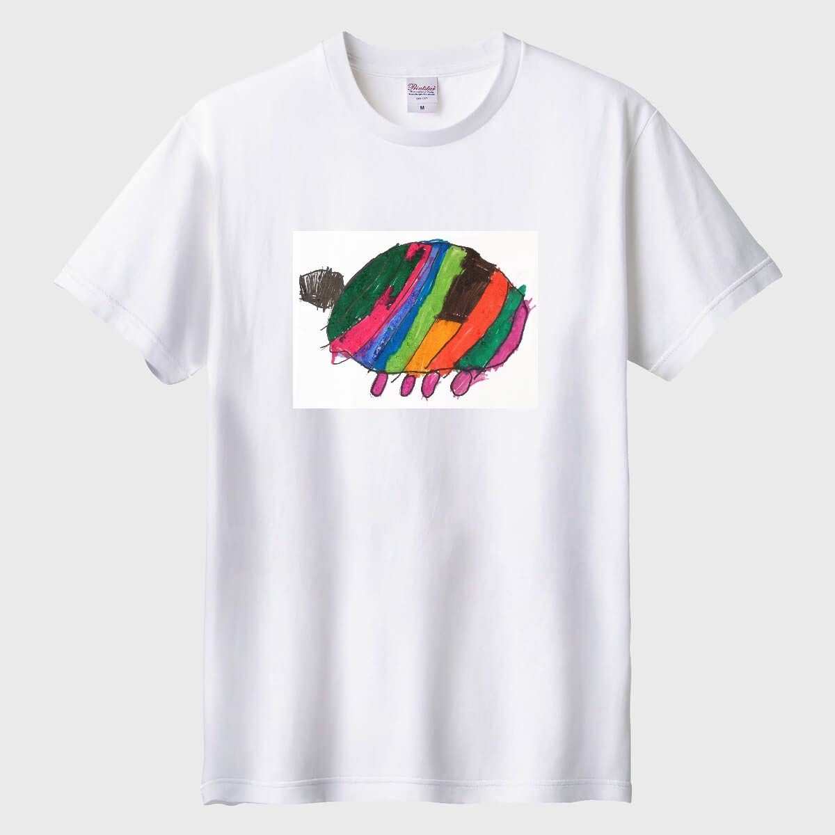 カラフルなカメ01