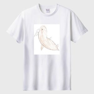 海を泳ぐセイウチ