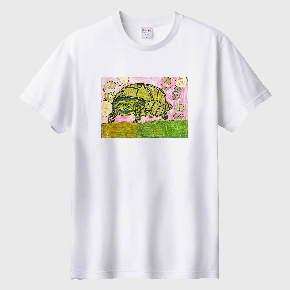 伝せつのカメ01