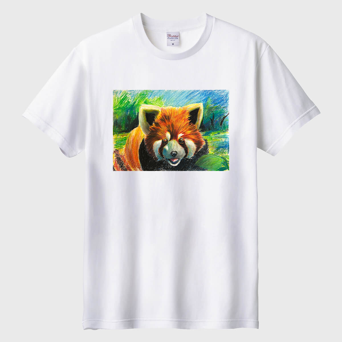 レッサーパンダ01