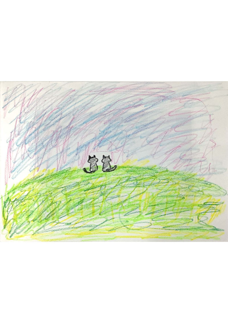 草原に飼い猫02