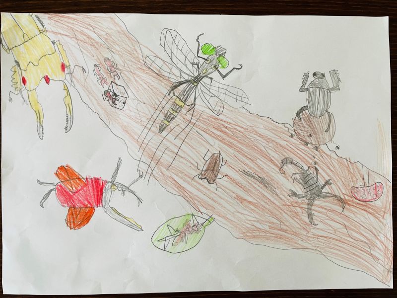 僕の大好きな昆虫たちの夢02