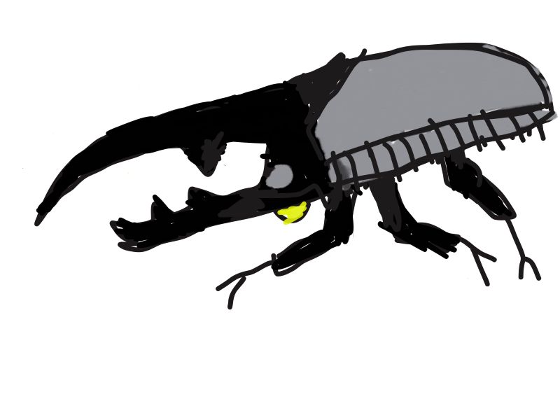 モノクロ、世界のカブトムシ02