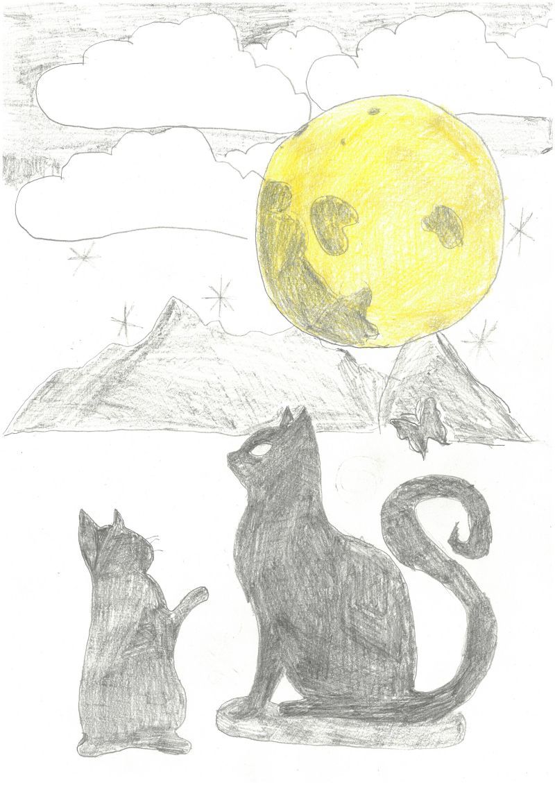 もう一人のねこ02