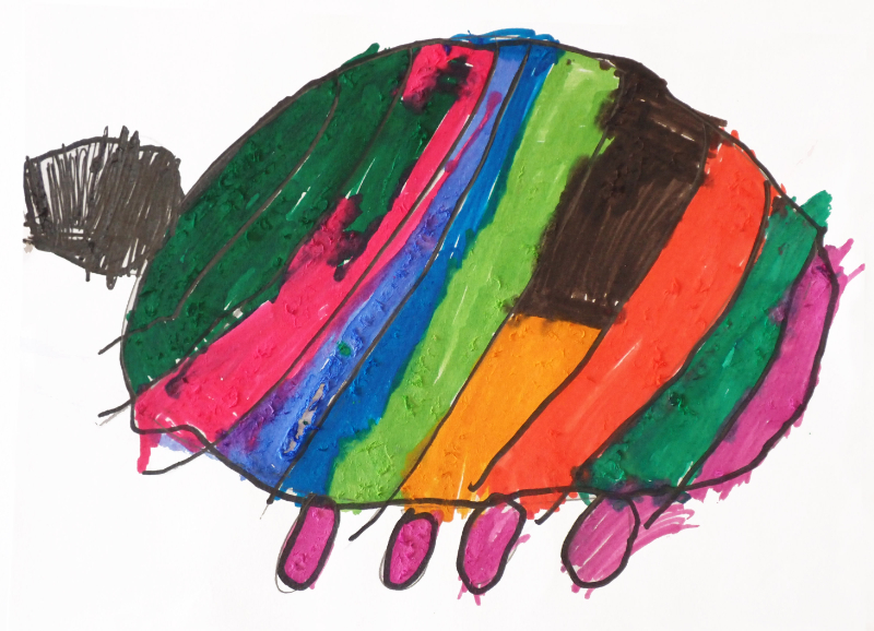 カラフルなカメ02