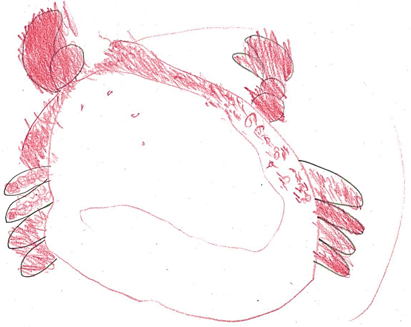 愉快なかにさん02