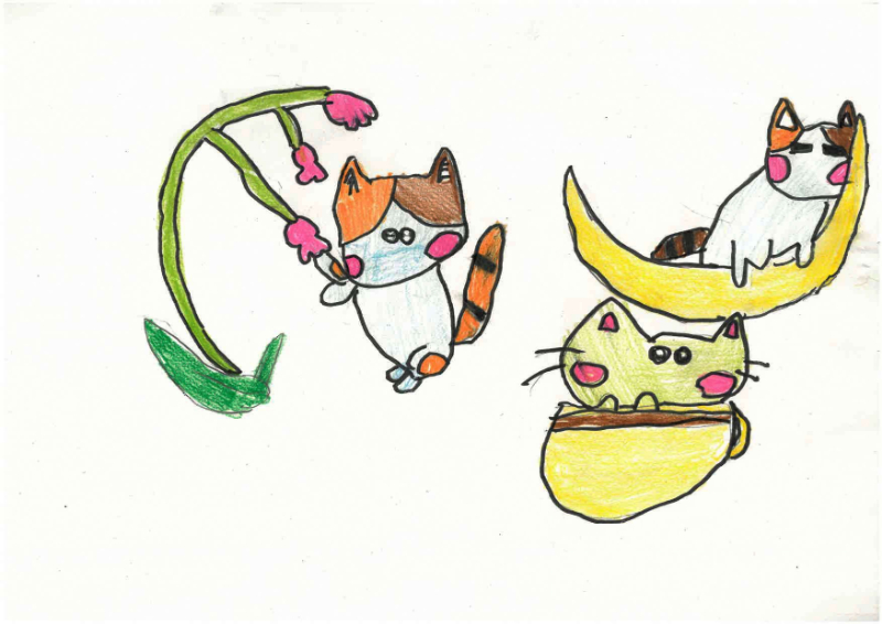 ねことくらす02