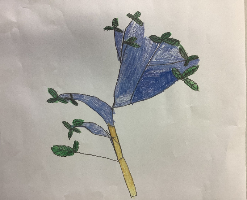 わたしのゆめ～春に咲く花～02