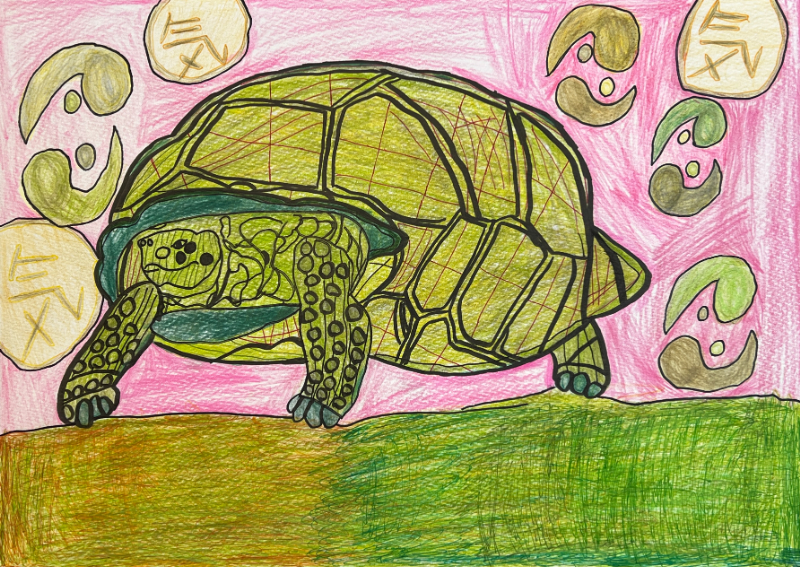 伝せつのカメ02