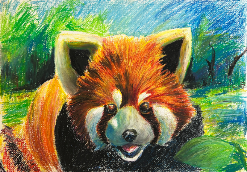 レッサーパンダ02